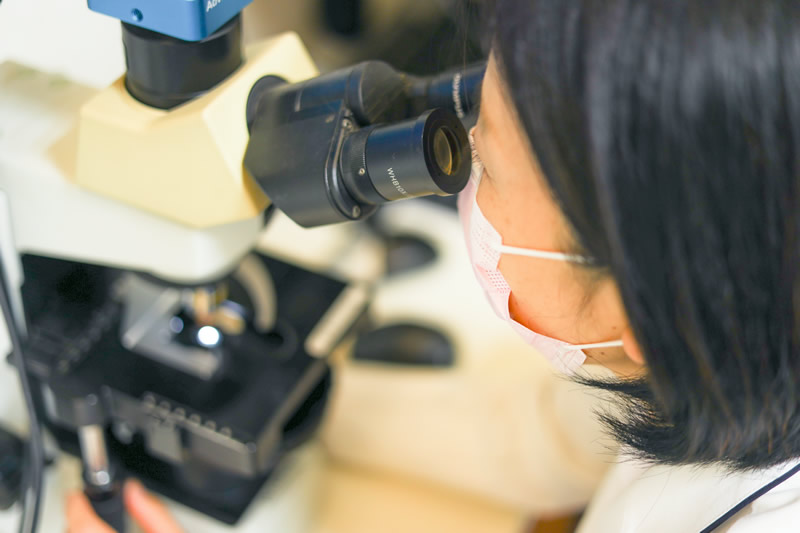 内科、外科、内科、外科